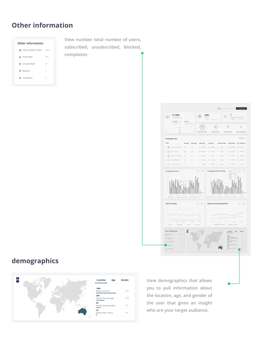 Email Performance Dashboard — Responses & demographics